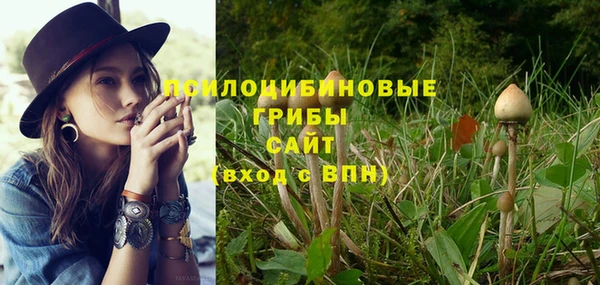 синтетический гашиш Зерноград
