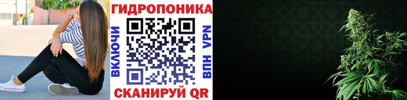 Купить где Россошь Каннабис White Widow